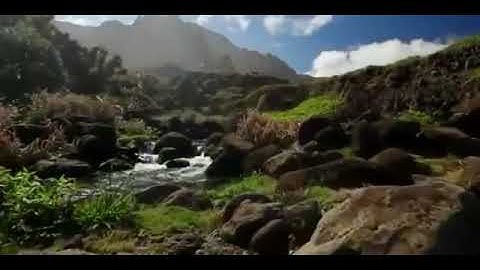 سورة الفاتحه بصوت الشيخ رشيد افراد