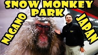 Jigokudani Snow Monkey Park in Nagano Japan