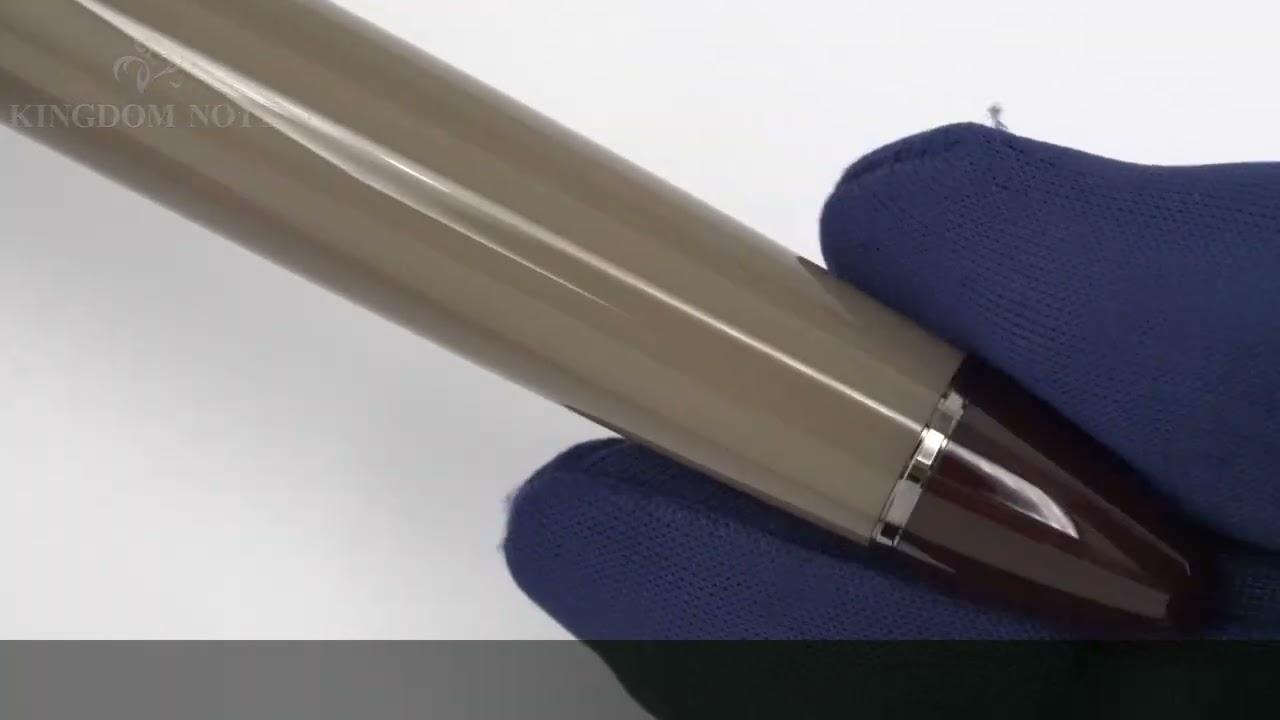 SAILOR セーラー 万年筆 京王アートマン聖蹟桜ヶ丘店限定 プロフィット