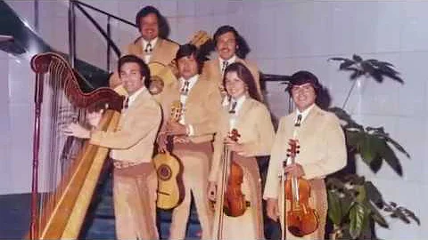 Rebecca's History with Los Camperos