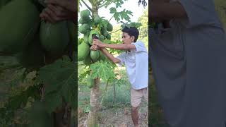 luckily it wasn't the big one that was eaten #shortvideo #nature #trending #fyp #shorts