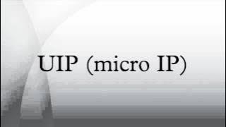 UIP (micro IP)