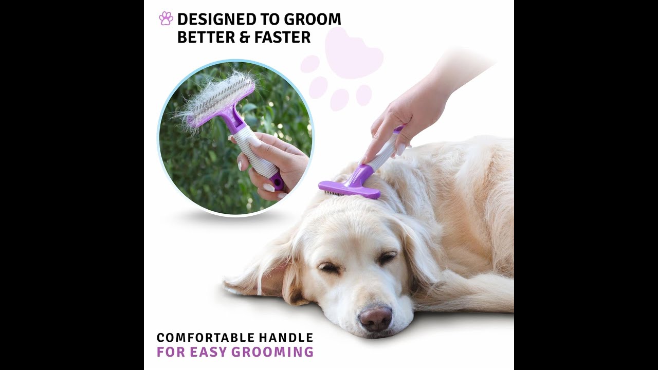 Illustration of Poodle Mix Grooming Rake Tool And Nail Trimmer Combo