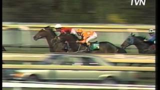 Affinity (1984) - Golden Caulfield Cup Moments