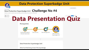 Data Protection Superbadge Unit|| Challenge No 4|| Data Presentation Quiz