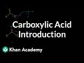 Carboxylic acid introduction | Carboxylic acids and derivatives | Organic chemistry | Khan Academy