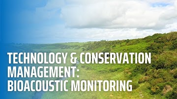 Technologie en behoudbeheer: bioakoestische monitoring