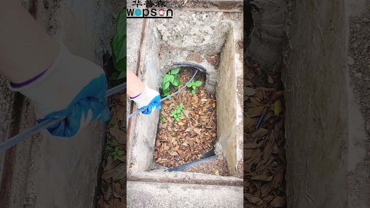 🦇 Found spider web, plumber request support! 