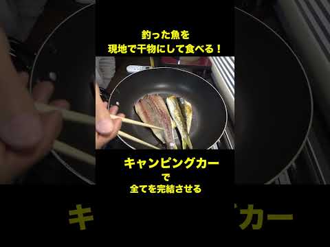 キャンピングカー内で釣った魚を干物にして食べる！ #shorts #釣りよか飯 #料理