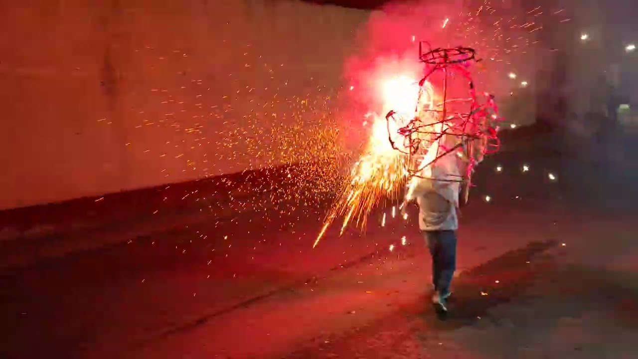 PASEO FLORAL - SAN AGUSTÍN TLACOTEPEC NOVIEMBRE 2025 