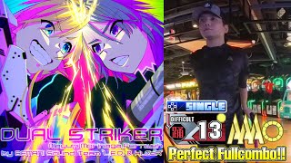 [DDR A3] DUAL STRIKER DSP-13 PFC