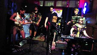 Yinyang Sunflower - Beautiful Buzz (Blind Bobs)