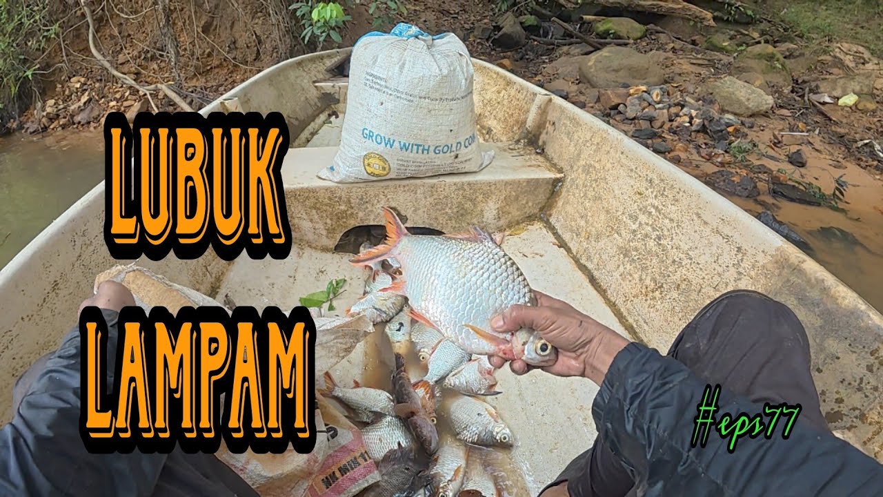 Tahan jaring ikan/hasil padu/lubuk lampam (#eps77)