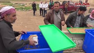 وحدة استنبات الشعير الأخضر بريف حلب.. تخفيض للتكاليف وزيادة للإنتاجية