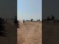 рџ ЌрџђЋрџ ЇЩ Ш ЫЃ ЪЇЪѕЩ Ъ Ш Щ Ш ЫЃ рџ ЇрџђЋрџ Ќ рџ рџ Щ Ш ШґШ ШЎШ Щ Щ ЫЃ ШЁЫЃШЄ Ш Щ ШЁ рџ рџ Viralreels Viral Reels Horse ЪЇЪѕЩ Ъ Ш Uk Shortvideo рџ ЌрџђЋрџ ЇЩ Ш ЫЃ ЪЇЪѕЩ Ъ Ш Щ Ш ЫЃ рџ ЇрџђЋрџ Ќ рџ рџ Щ Ш ШґШ ШЎШ Щ Щ ЫЃ ШЁЫЃШЄ Ш Щ ШЁ рџ рџ Viralreels Viral Reels Horse ЪЇЪѕЩ Ъ Ш Uk Shortvideo
