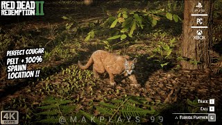 Best Panther Hunting Location in Red Dead Redemption 2 (Perfect Pelt Guide)