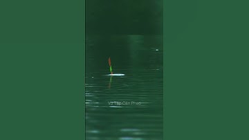 Nhịp Phao Rô Phi - Câu Cá Rô Phi #cauca #fishing