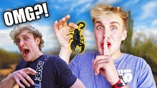 THIS PRANK ALMOST MADE LOGAN CRY!! *revenge*