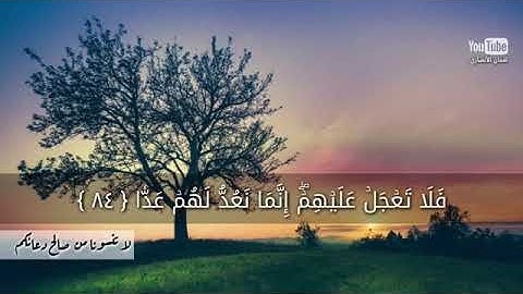 أواخر سورة مريم | ريان المحيسني