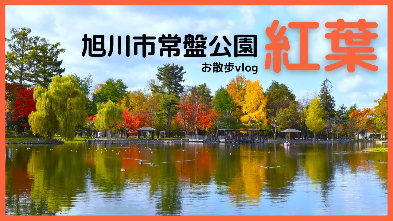 【北海道旭川】常盤公園お散歩しながら紅葉を眺める【vlog】 YouTube