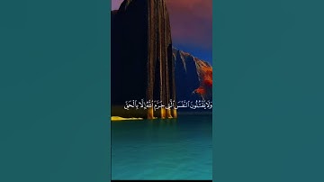 القرآن الكريم❤️❤️تلاوة رائعة خاشعة //و صوت جميل ينسيك الحزن و الهم@مجيدوchanel