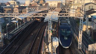 【すかいらいなー】京成3100形 & AE形 特急 スカイライナー@京成高砂駅