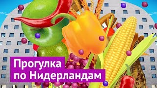 Нидерланды: красивые, комфортные, твои