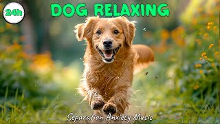 Music that dogs like 🎵 Sleep music for dogs 🐶 Music to reduce anxiety and stress