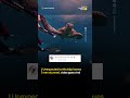 Man slapped by turtle goes viral, internet reacts | The Bharat Post
