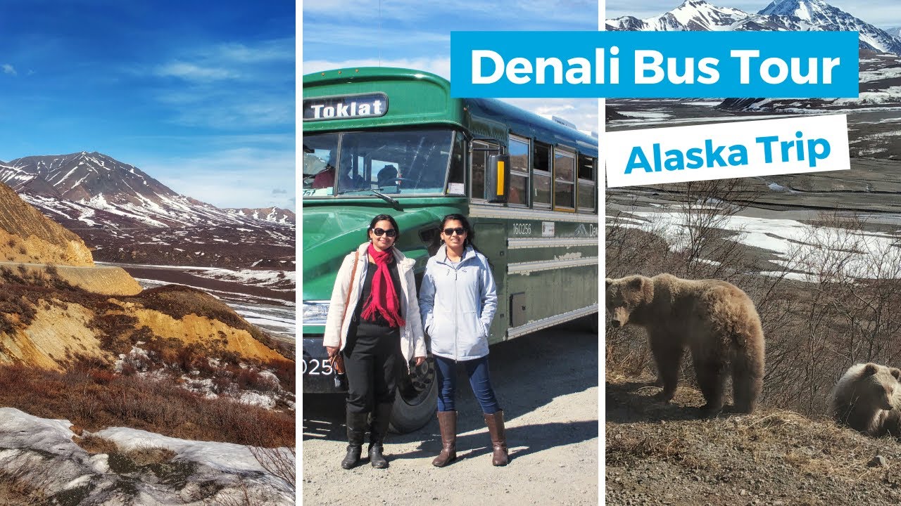 denali bus tour cost