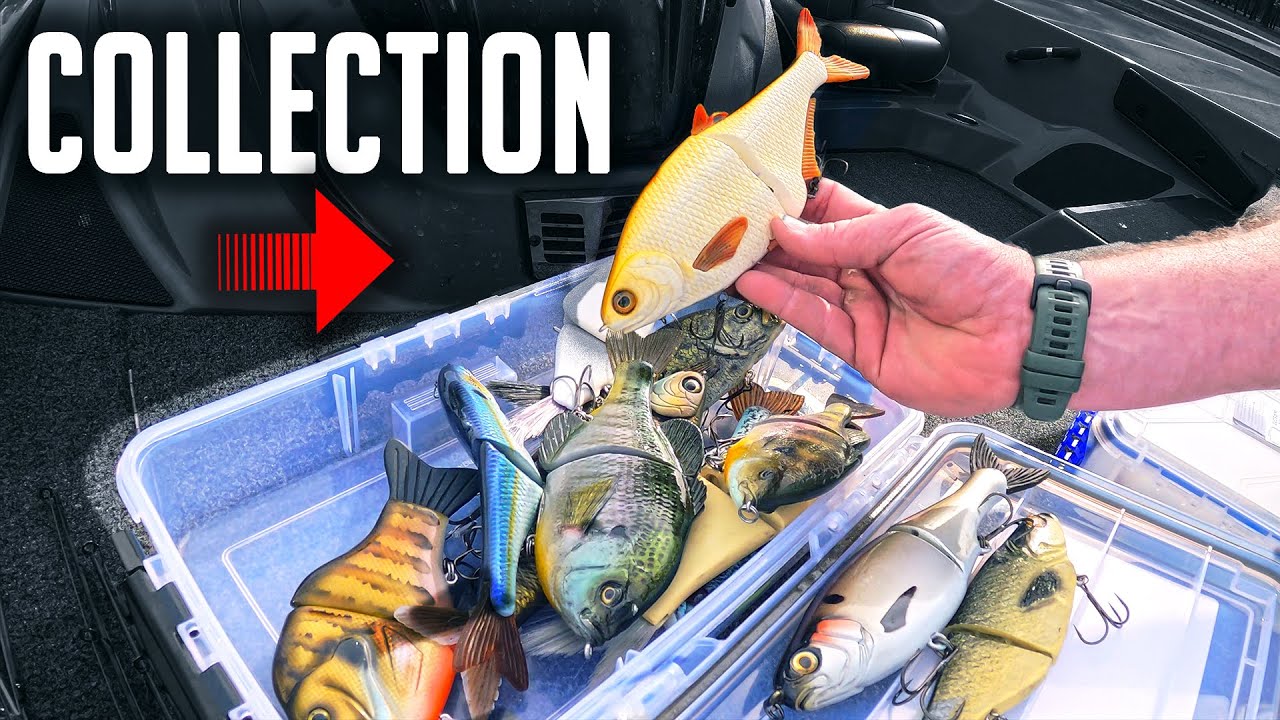 His SWIMBAIT Collection 🤯 (Mind Blown!!!) – Bass Manager