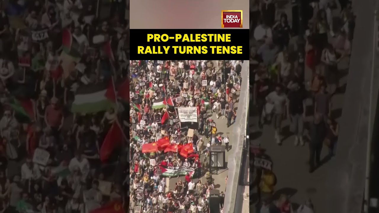 London Police Arrest 150 As Pro Palestinian Protesters Defy New Law