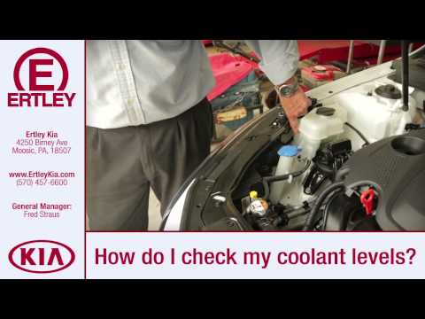 How to check your Coolant Level