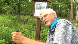 Scout at the Appalachian Trail Midpoint in 2017 by PCTscout 113 views 6 years ago 1 minute, 4 seconds