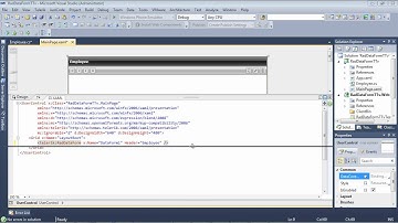 DataForm- Part 1: Getting Started (Silverlight & WPF)