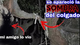 LOS AH0RC4D0S DEL ÁRBOL