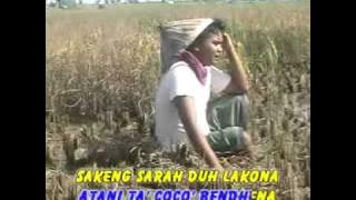 lagu madura reng tanih