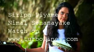 Video thumbnail of "siripa piyume sinhala video song from nimal senanayake"