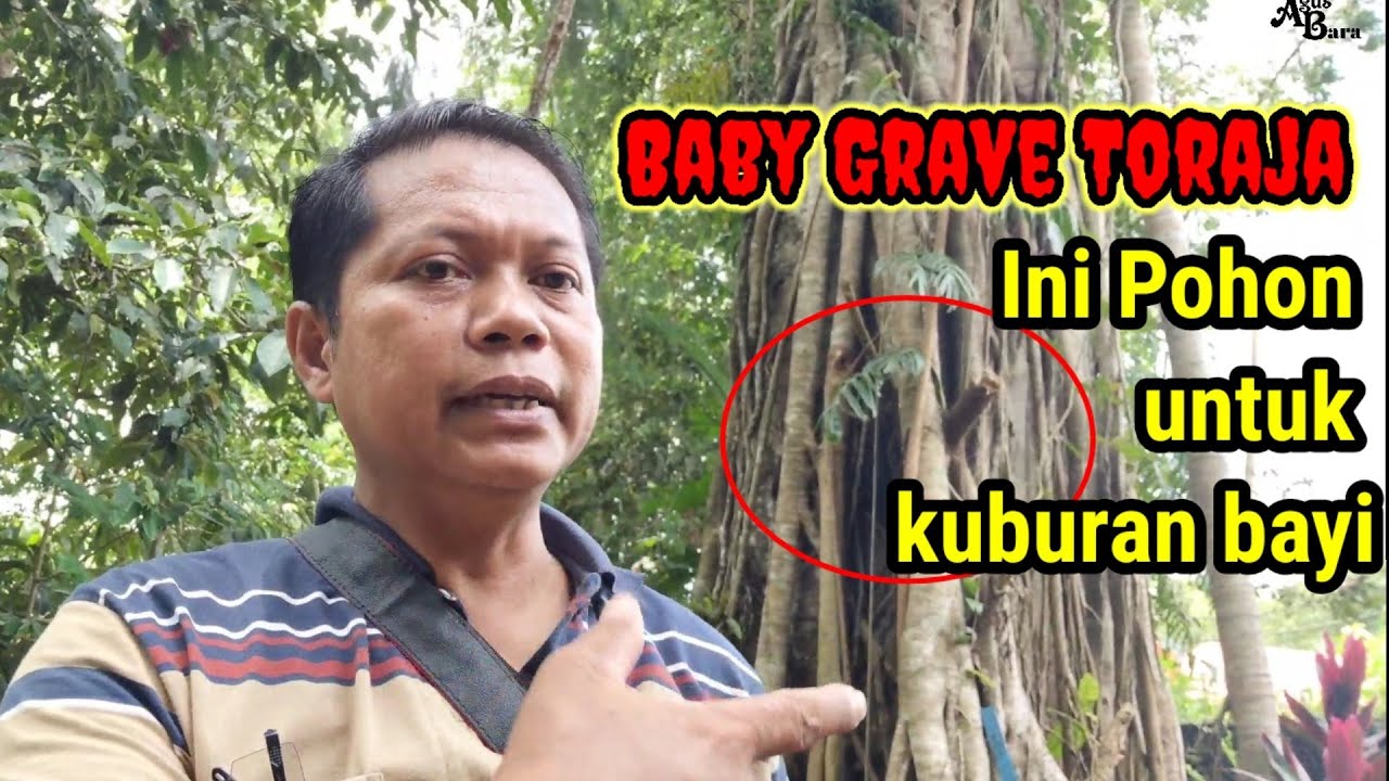 KUBURAN TERUNIK DI DUNIA || BABY GRAVE TREE IN TORAJA