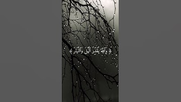 القارئ : فارس عبادسورة : المزمل #أرح_سمعك_وقلبك #قرآن #فارس_عباد #اكسبلور