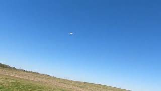 Freewing Cougar 3/20/24 by Brad Darnell 107 views 2 months ago 5 minutes, 21 seconds