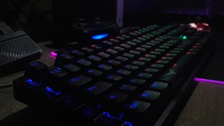 NACEB Black Cobra | Unboxing y Detalles Técnicos screenshot 4