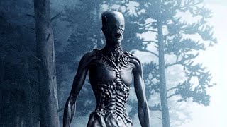 Alien Encounters and UFO Mysteries: Unexplained Cases from Around the World