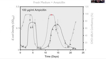 Advice for Synthetic Biology Research Projects