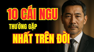 10 Cái Ngu Thường Gặp Nhất Trên Đời | Bài Học Cuộc Sống