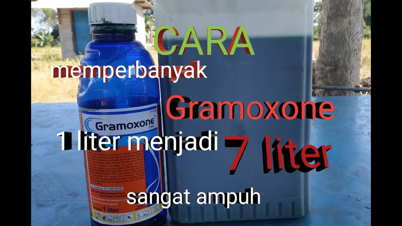 Cara Memperbanyak Herbisida Gramoxone - Youtube