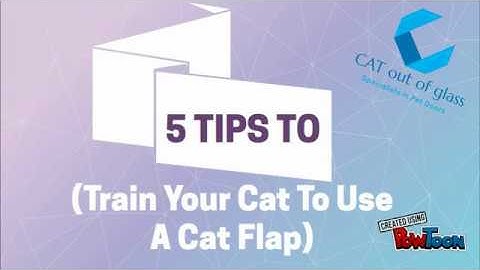 Tips for Trainning a Cat how to use a cat flap