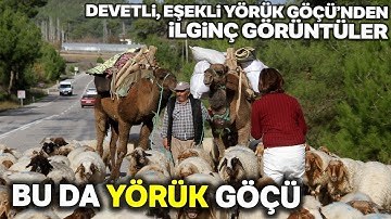 Seydikemer Yörükleri Binlerce Yıllık Göç Geleneğini Sürdürüyor