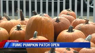 FUMC pumpkin patch opens in the Circle City