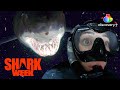 Night Diving with Mako Sharks | Dawn of the Monster Mako | discovery+